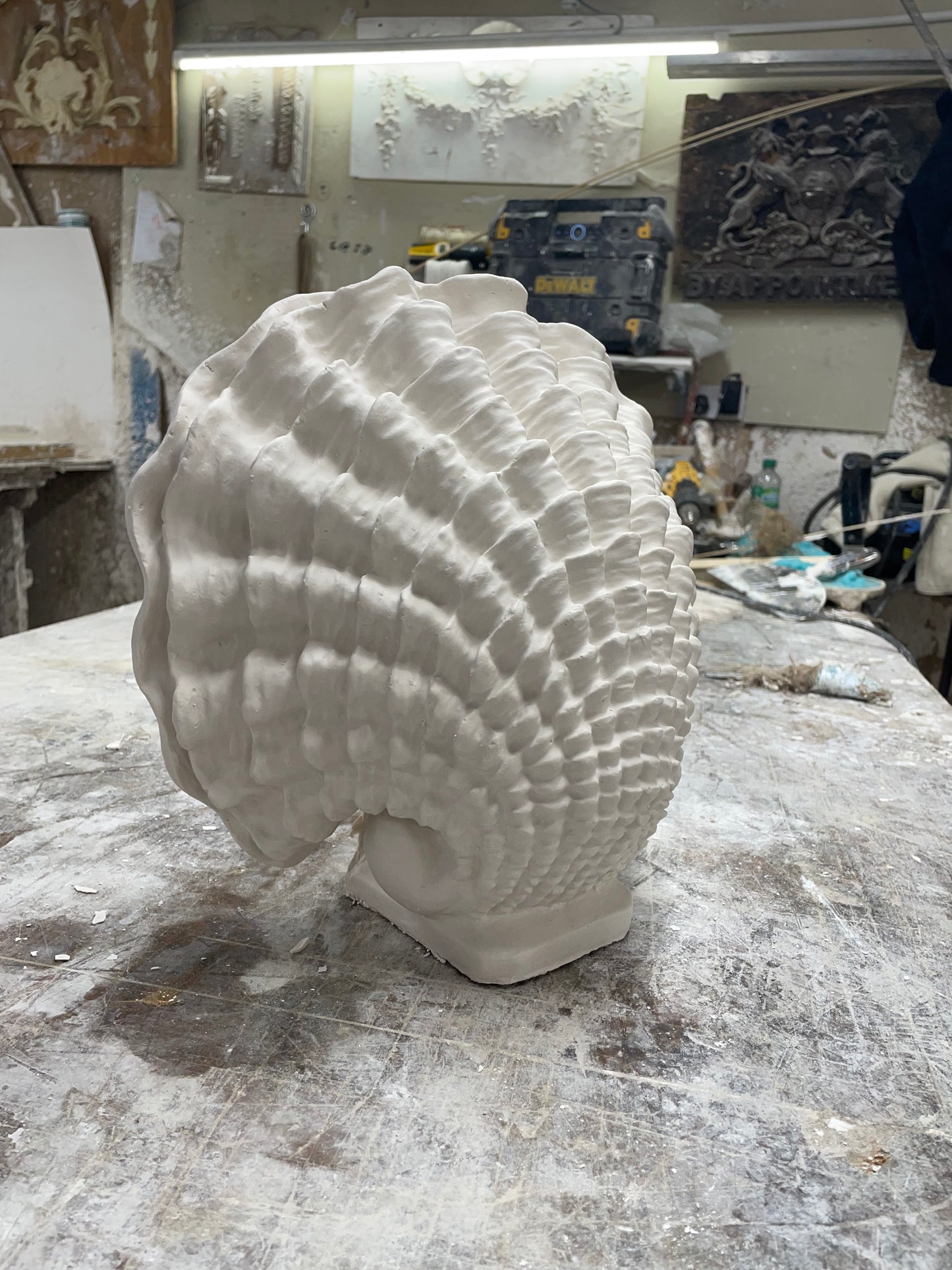 The Queen Shell