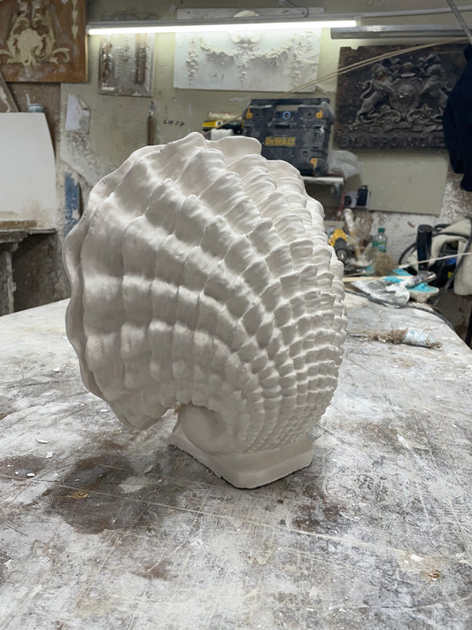 The Queen Shell